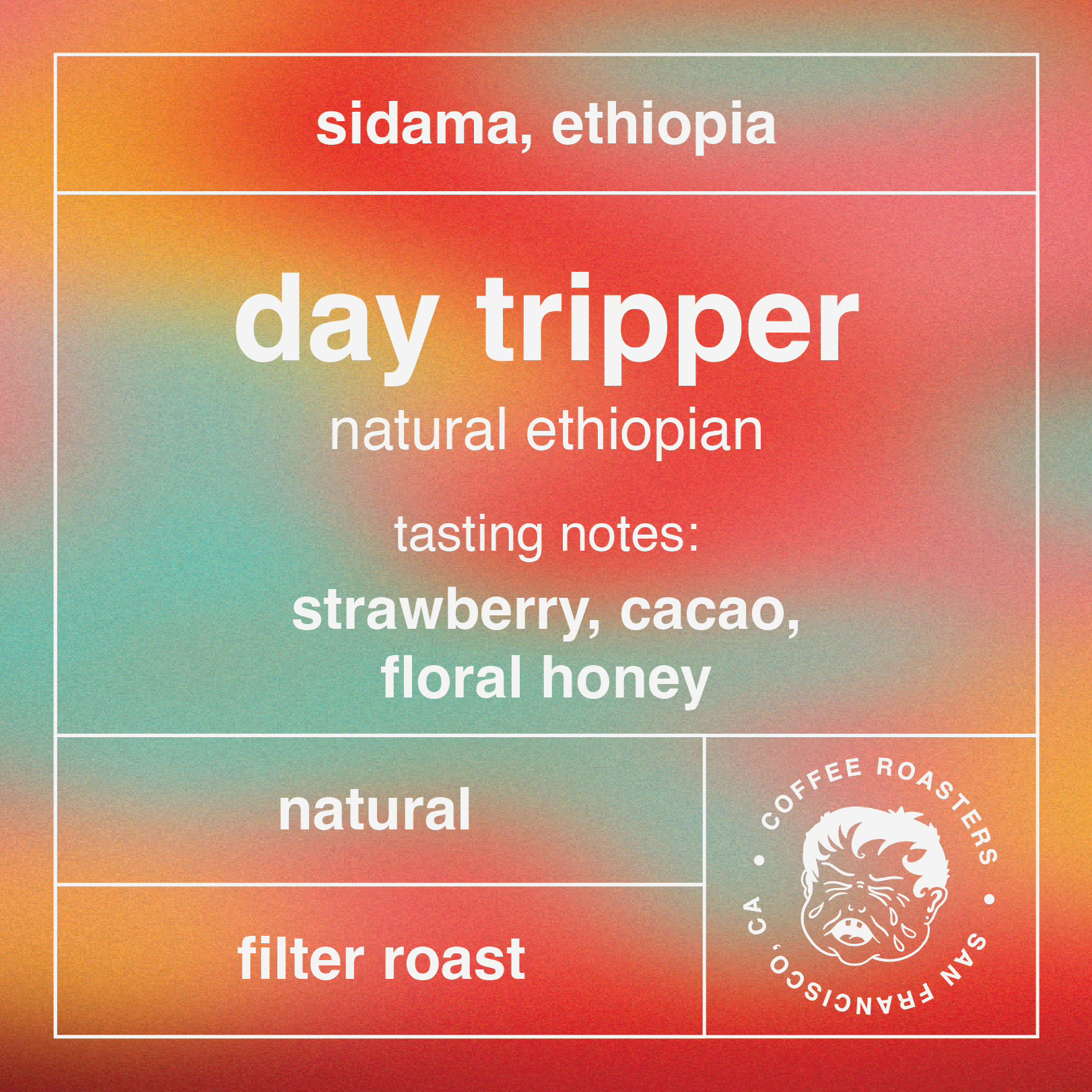 Day Tripper - Natural Ethiopia